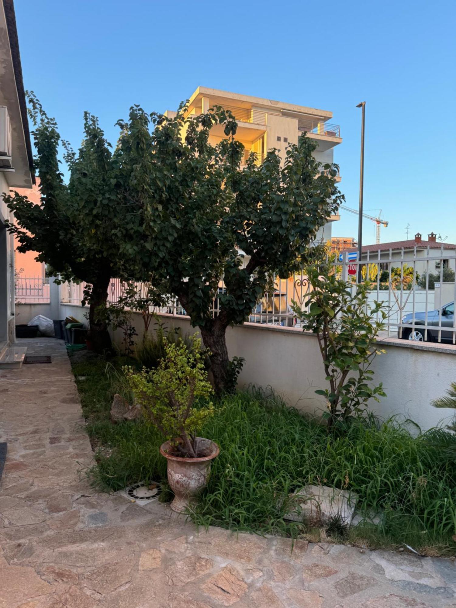 Da Gio Apartment Olbia Exterior photo